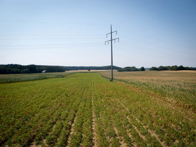 Blick von der Leiter