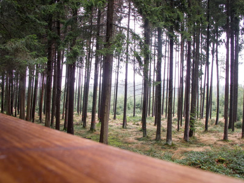 Blick aus der Kanzel