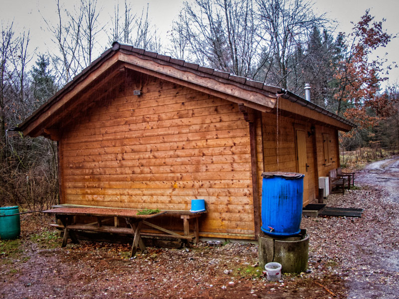 Fütterung im Lehrrevier