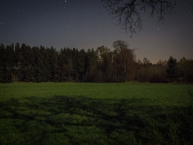 Wochenende = Ansitz-Zeit