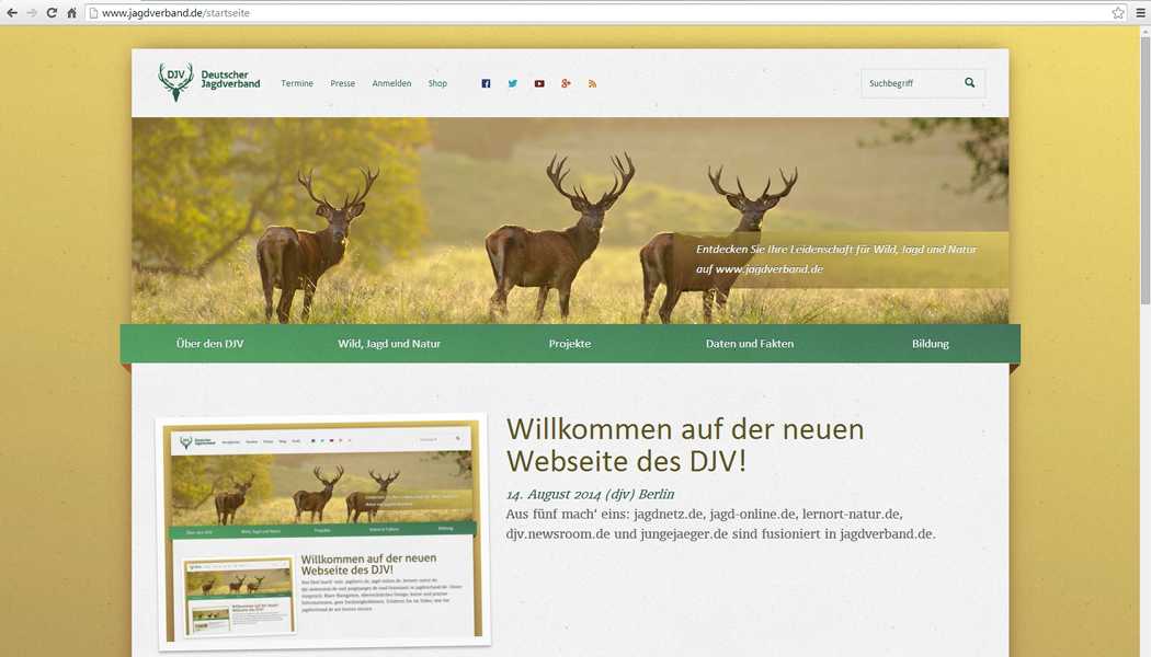 Deutscher Jagdverband – neuer Auftritt im Internet