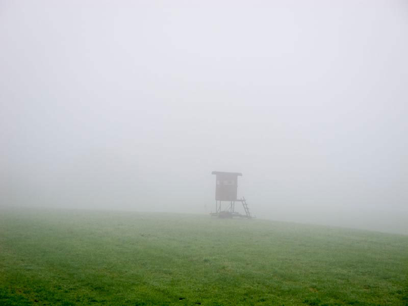 Ansitz im Nebel