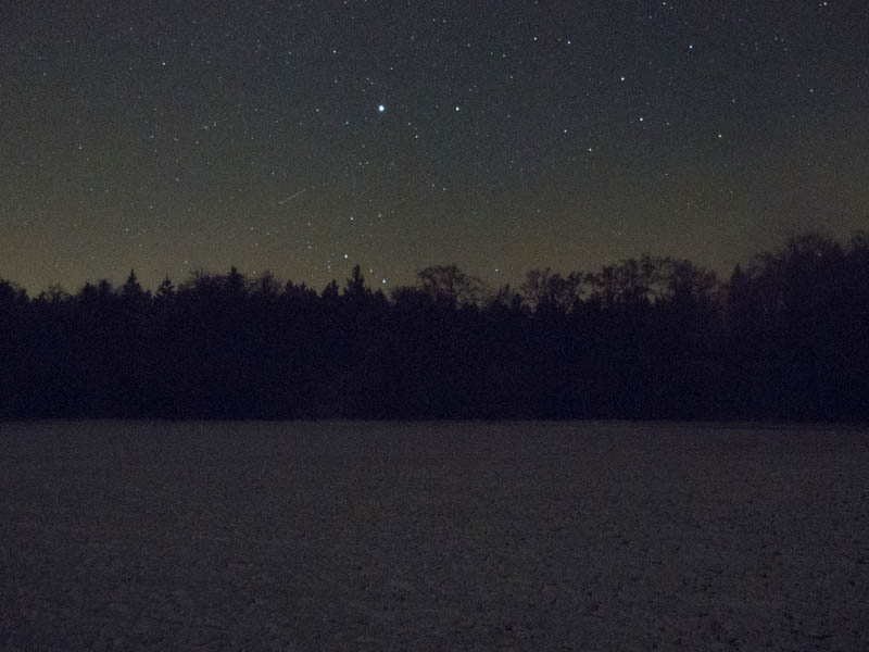 Ansitz im Schnee