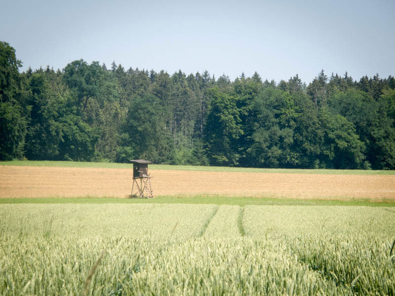 Sturmkanzel steht auch wieder