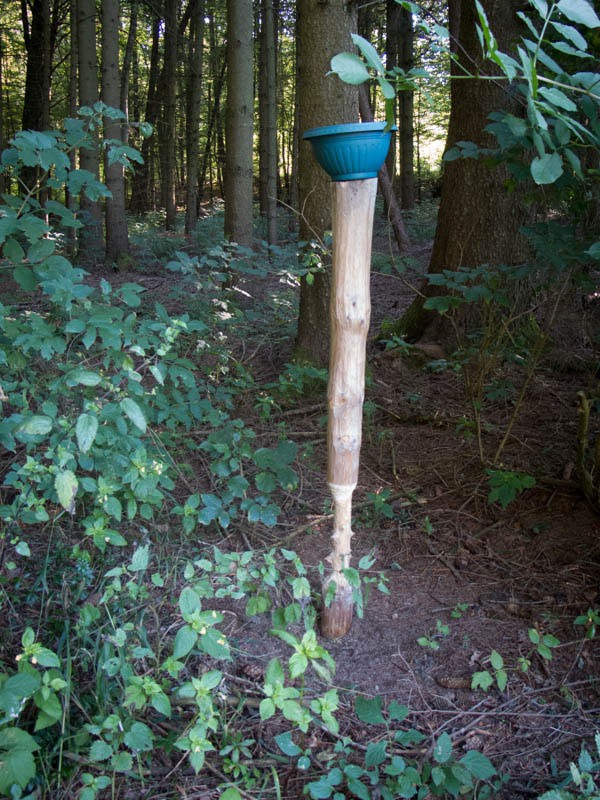 Salzlecke – von Hasen angenommen