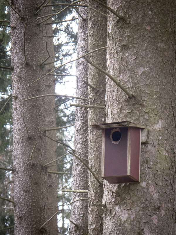 Nistkästen jetzt aufhängen