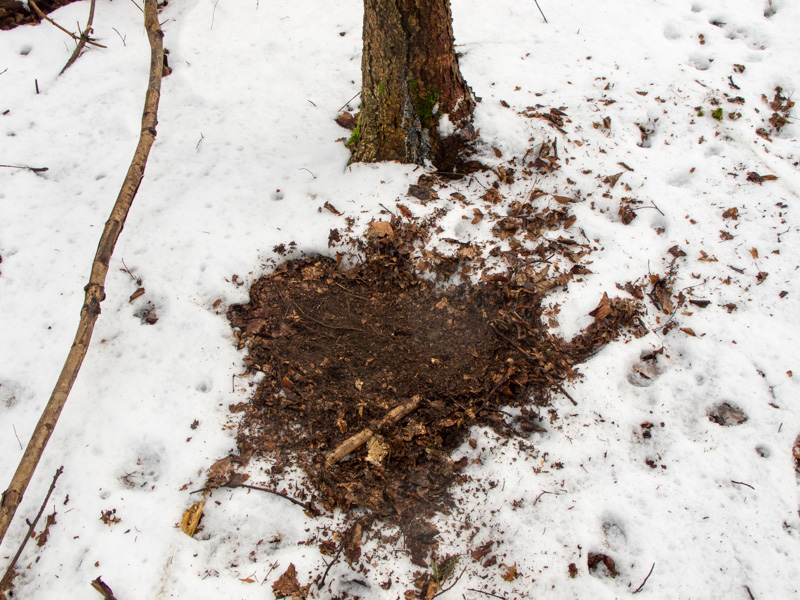 Plätzstellen im Schnee