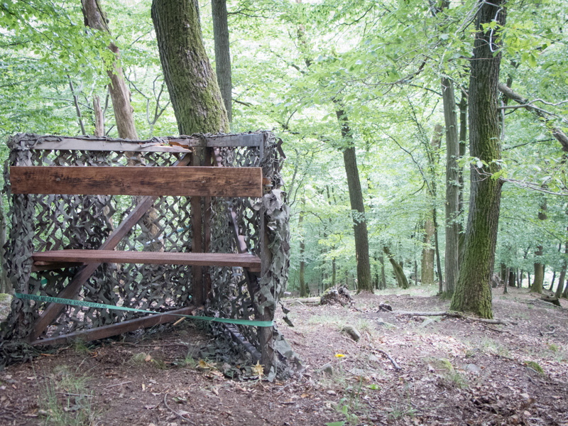 Jagdausflug in den Harz – Tag 2 – Revierarbeiten