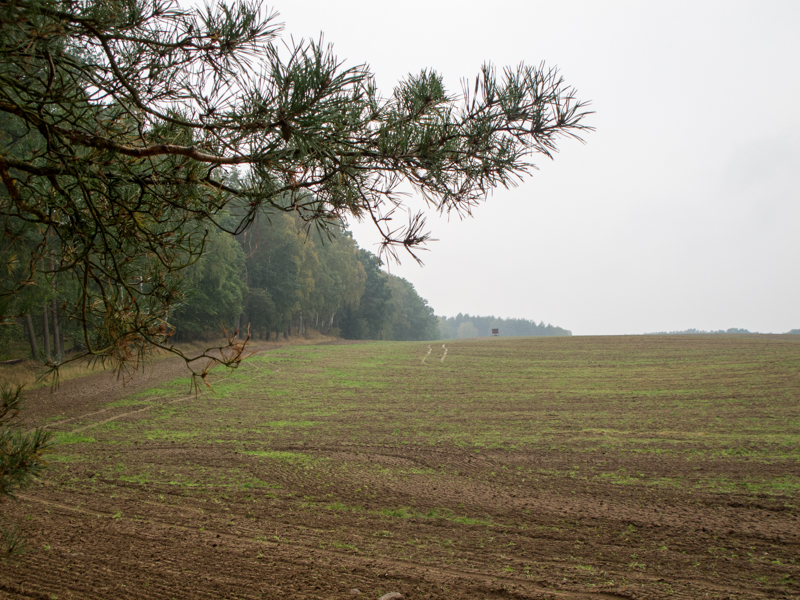 Tag 3 – Jagdausflug nach Mecklenburg-Vorpommern