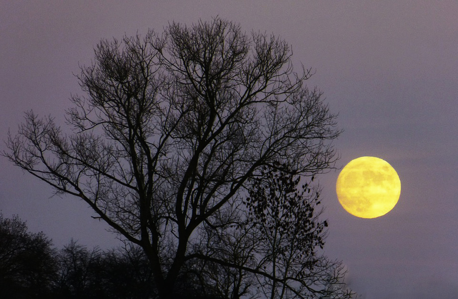 Supermond, blauer Mond und Blutmond