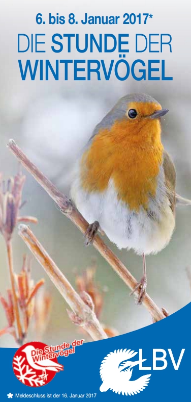 Wintervögel zählen