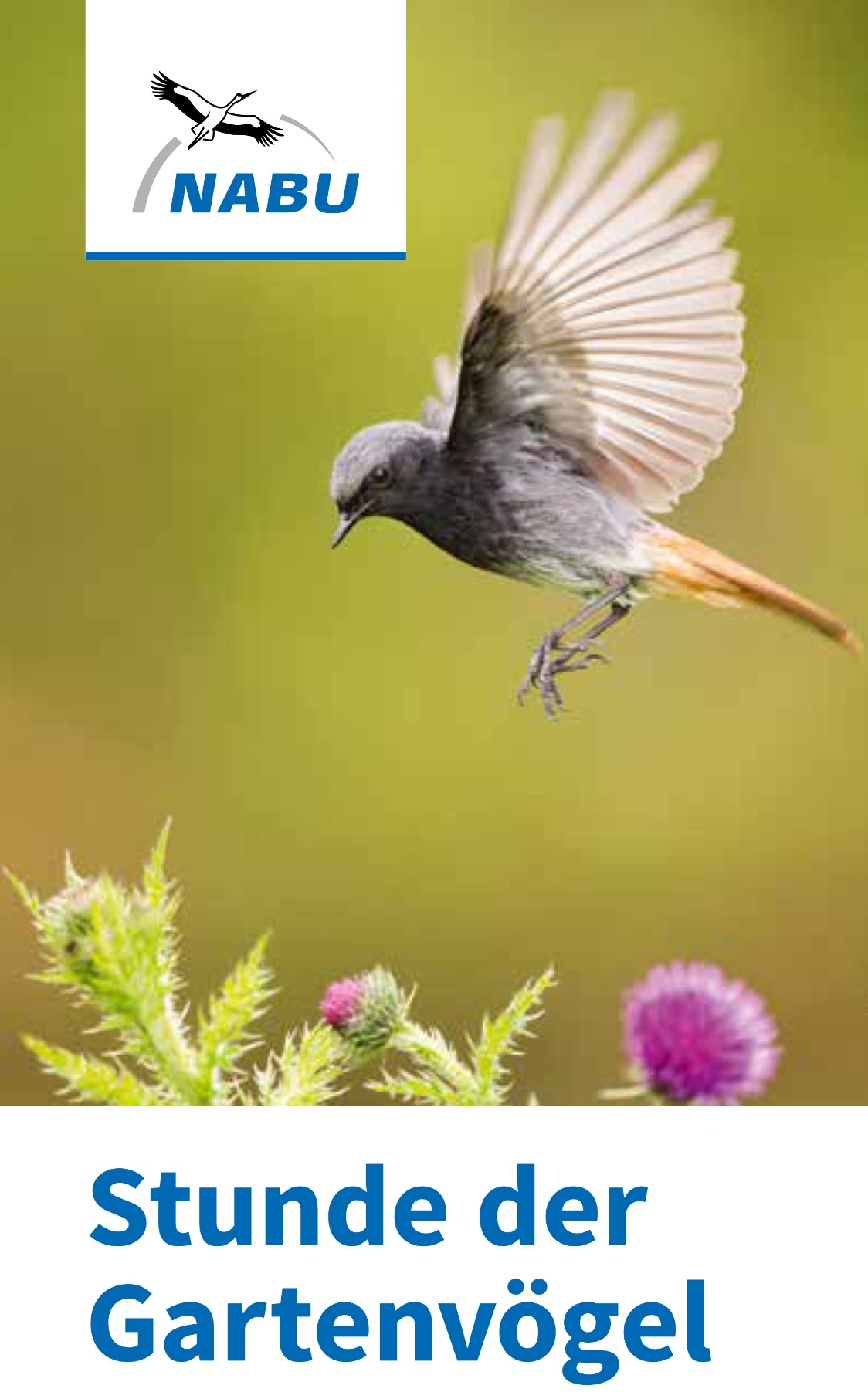 Stunde der Gartenvögel