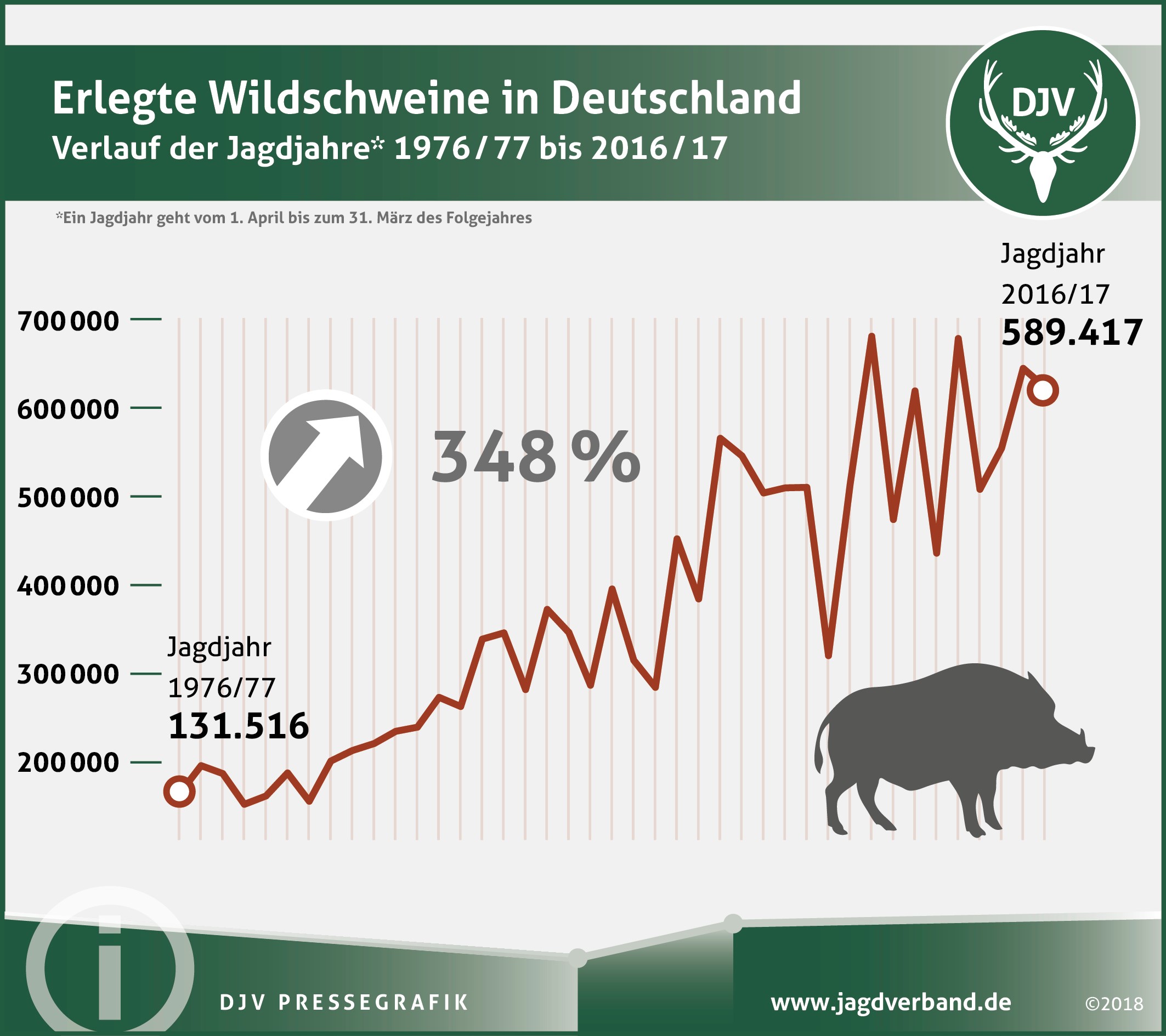 589.417 Wildschweine bundesweit erlegt