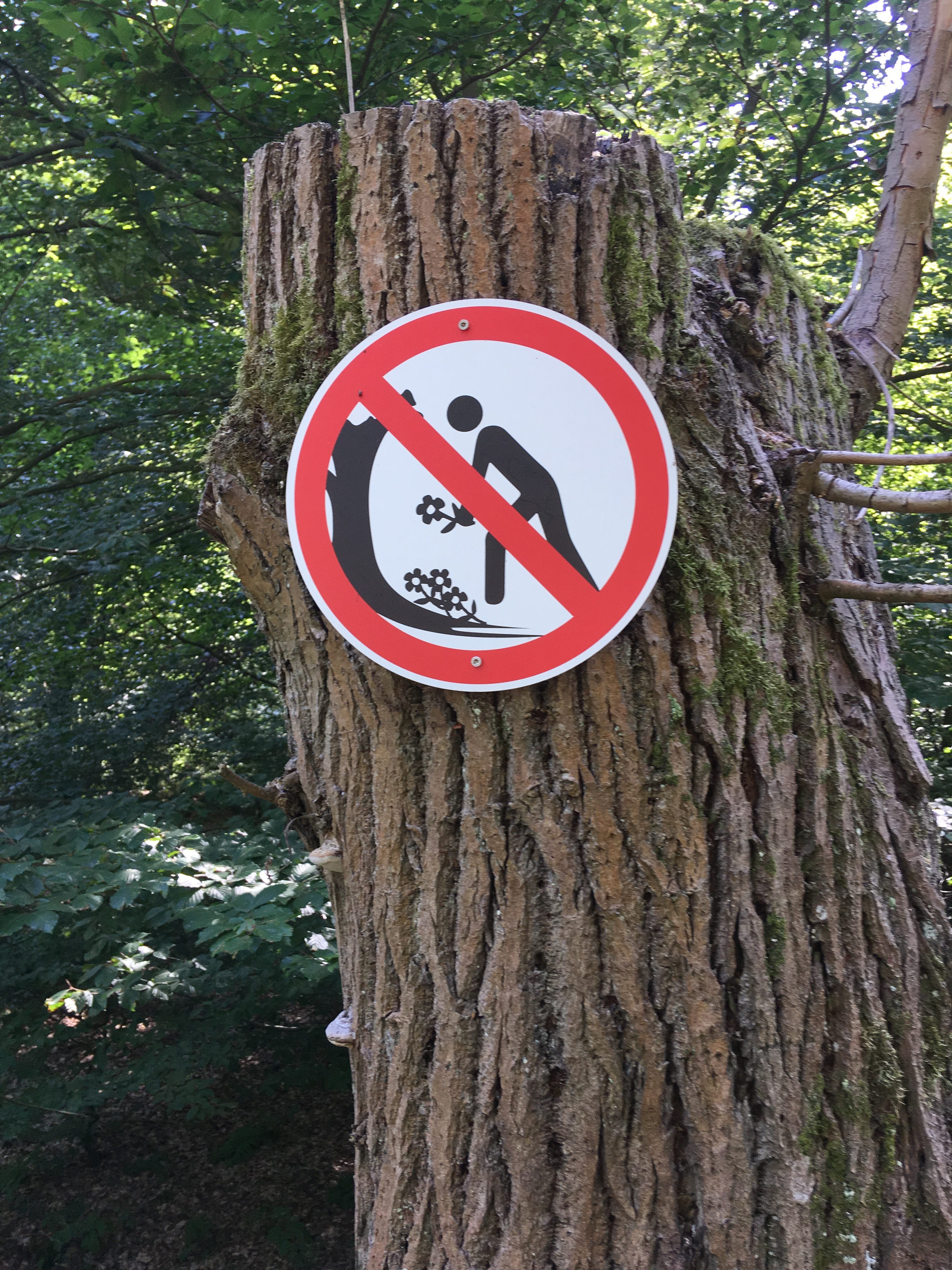 Pflücken verboten?