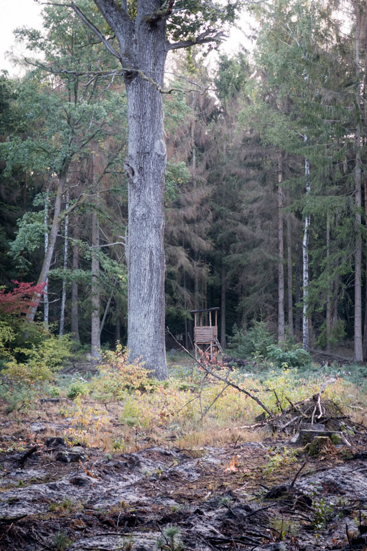 Jagdausflug nach Göritz – Tag 4