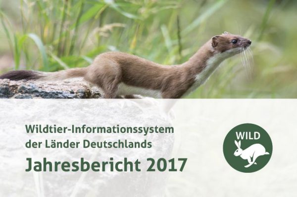DJV-WILD-Bericht 2017