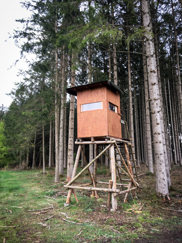 Kanzel versetzt