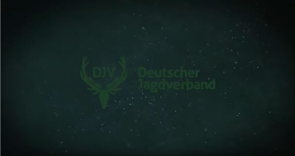 DJV Jagdfilmpreis