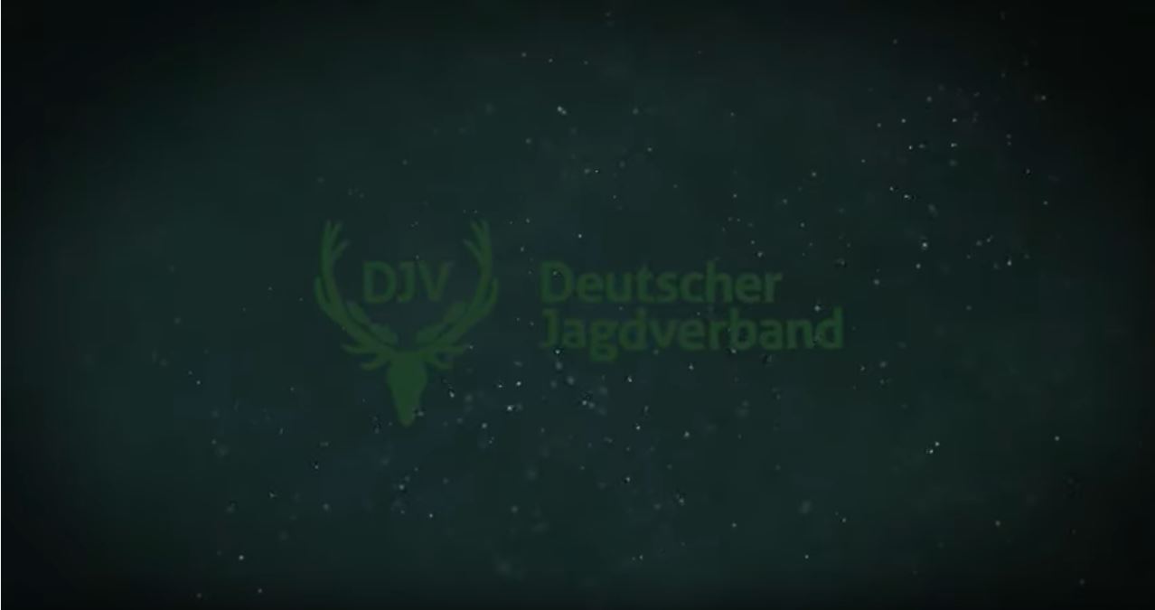 DJV Jagdfilmpreis