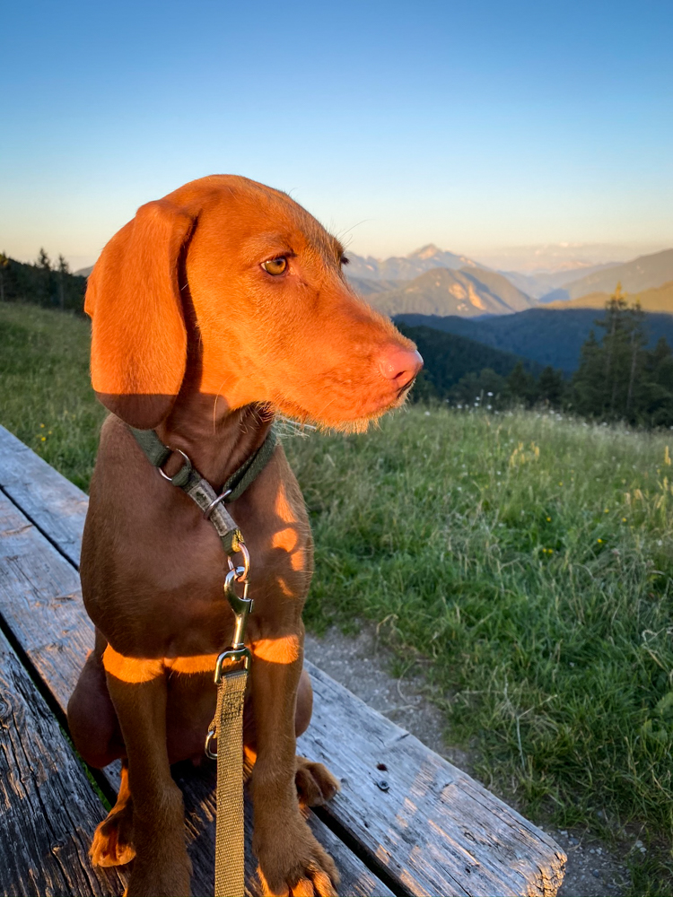 Ausflug in die Berge